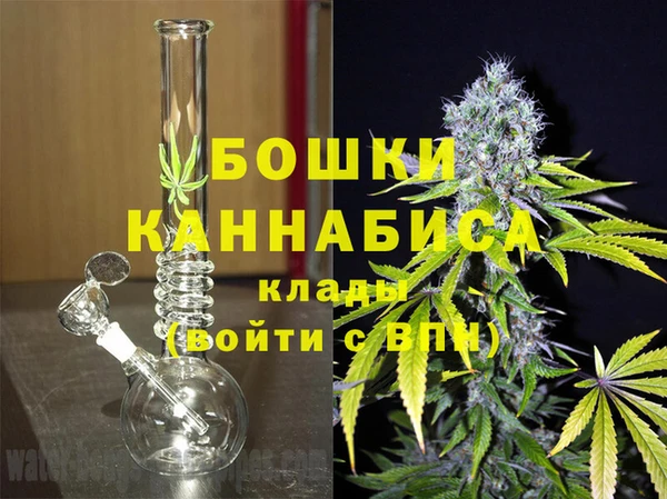ГАЛЛЮЦИНОГЕННЫЕ ГРИБЫ Ладушкин