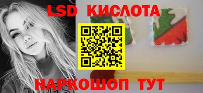 прущие грибы Гусев