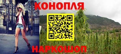 прущие грибы Гусев