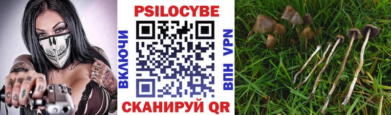 купить  цена  Строитель  мега ССЫЛКА  Галлюциногенные грибы Psilocybe 
