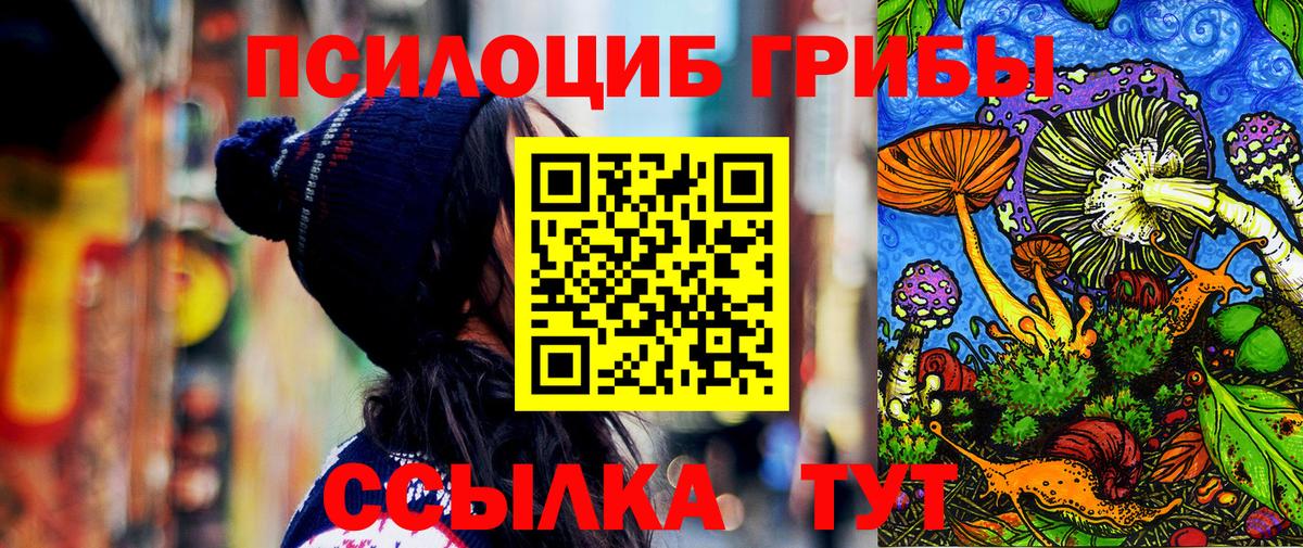 Галлюциногенные грибы Psilocybine cubensis Строитель