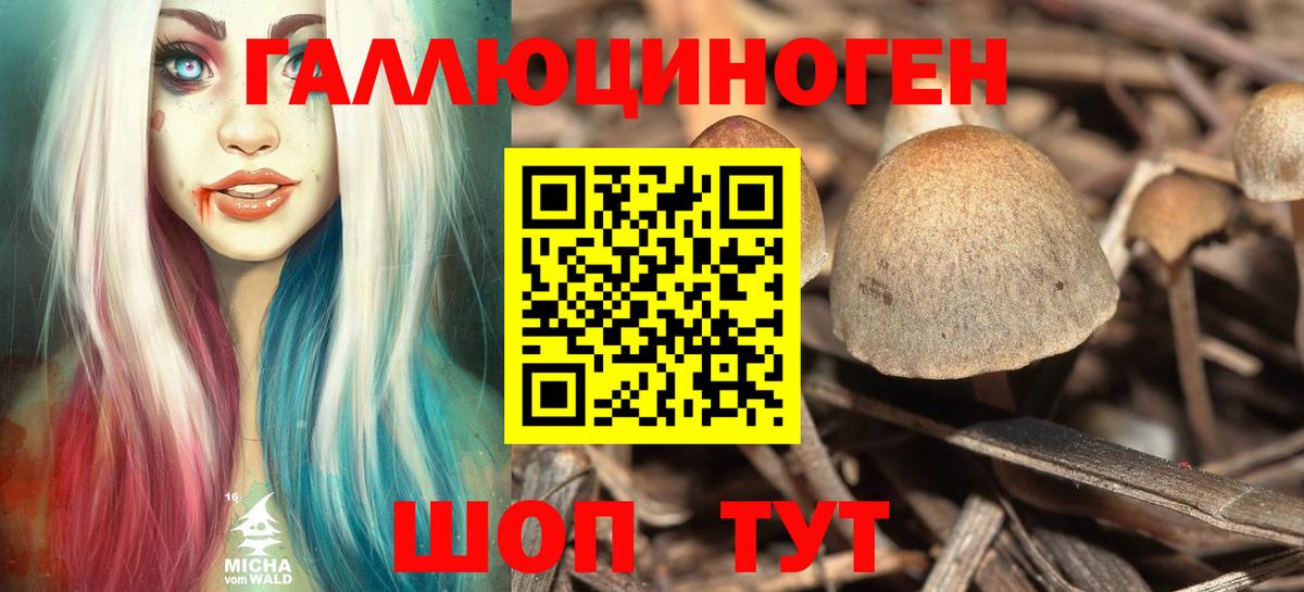 Строитель  Псилоцибиновые грибы ЛСД  Вход с VPN  Псилоцибиновые грибы мухоморы 